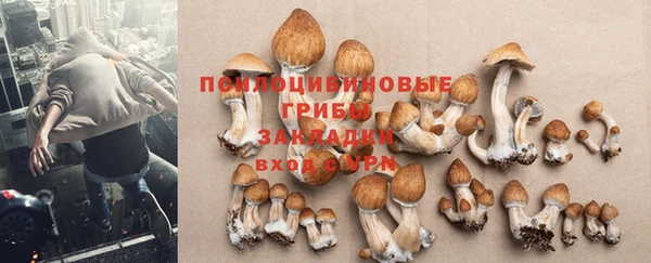 тгк Навашино