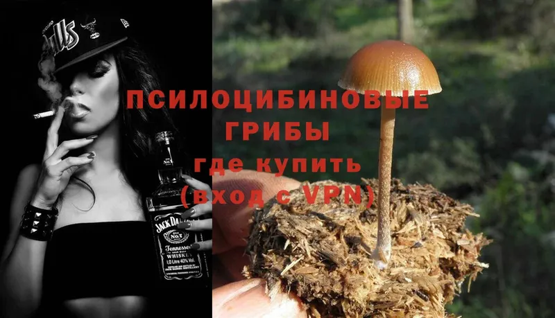 купить   Новоалтайск  Галлюциногенные грибы Magic Shrooms 