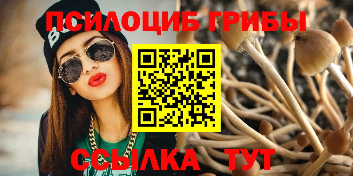 Галлюциногенные грибы прущие грибы  Псилоцибиновые грибы прущие грибы  Новоалтайск 