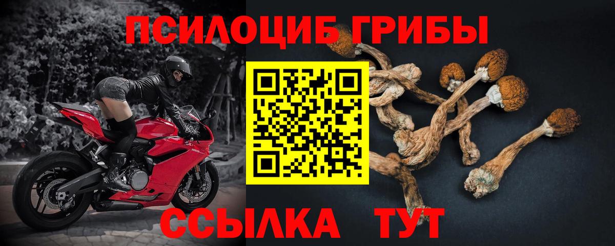 Гашиш  Новоалтайск  A PVP СК кристаллы  Меф МЯУ МЯУ кристаллы  Меф   Каннабис  Метадон  Метамфетамин 