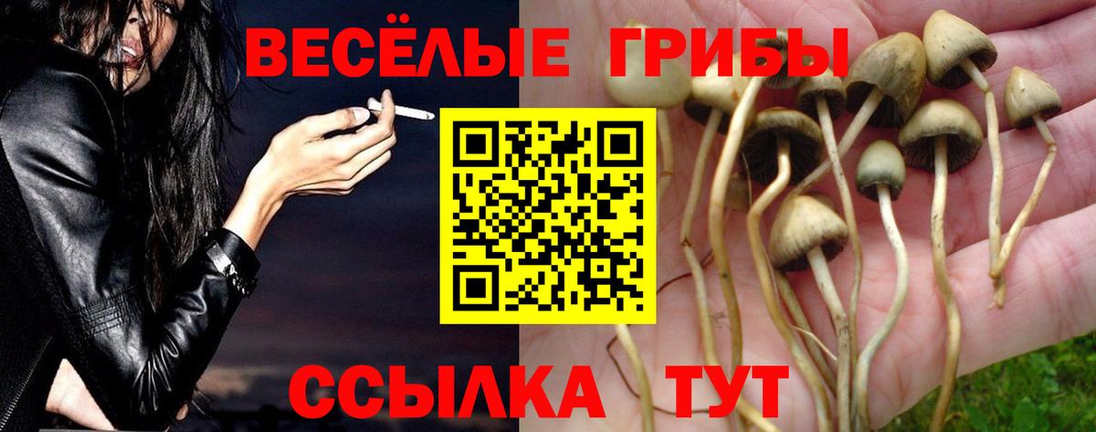 Новоалтайск  Псилоцибиновые грибы MAGIC MUSHROOMS  Вход с VPN 