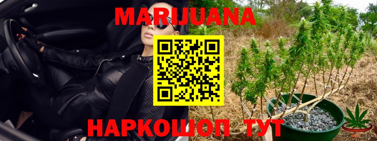 Бошки марихуана AK-47 Новоалтайск